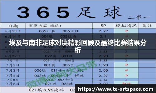 埃及与南非足球对决精彩回顾及最终比赛结果分析